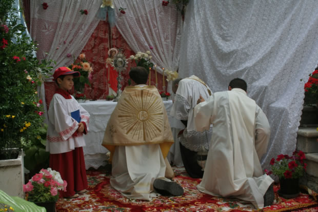 Foto varie